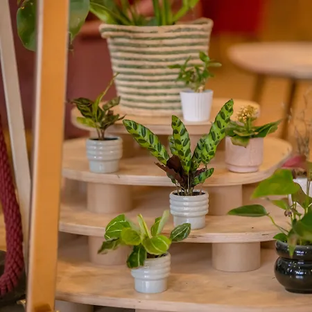 Kulturhotel Hessenland Kassel Innenstadt By Stay Awesome